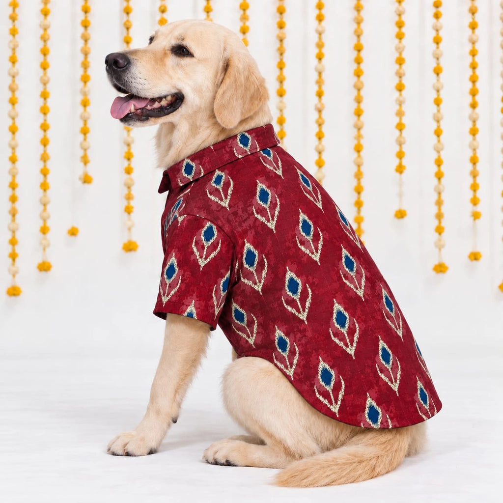 Thunder Tails Dog Festive Shirts - Red