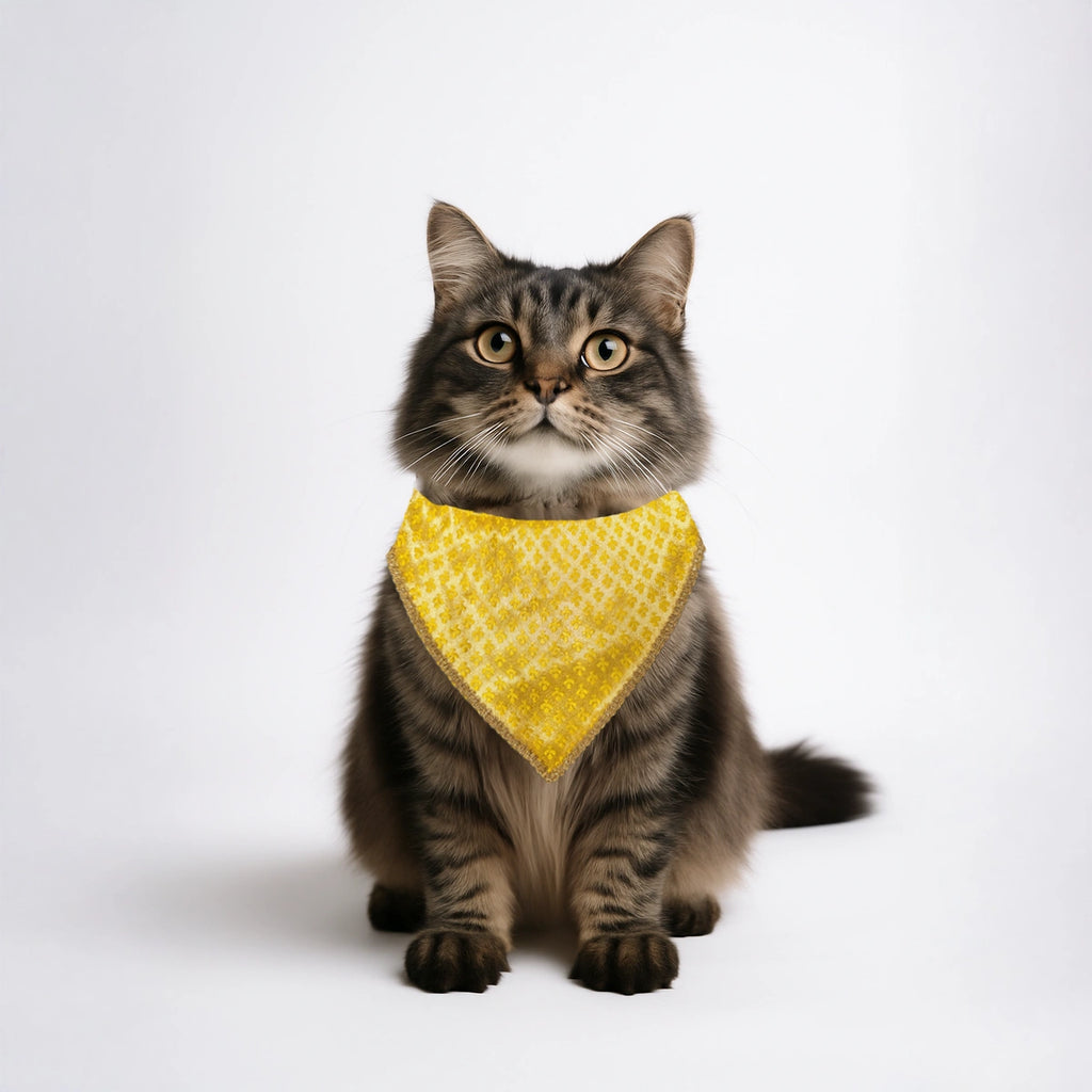 Thunder Tails Festive Dogs & Cats Bandana - Yellow