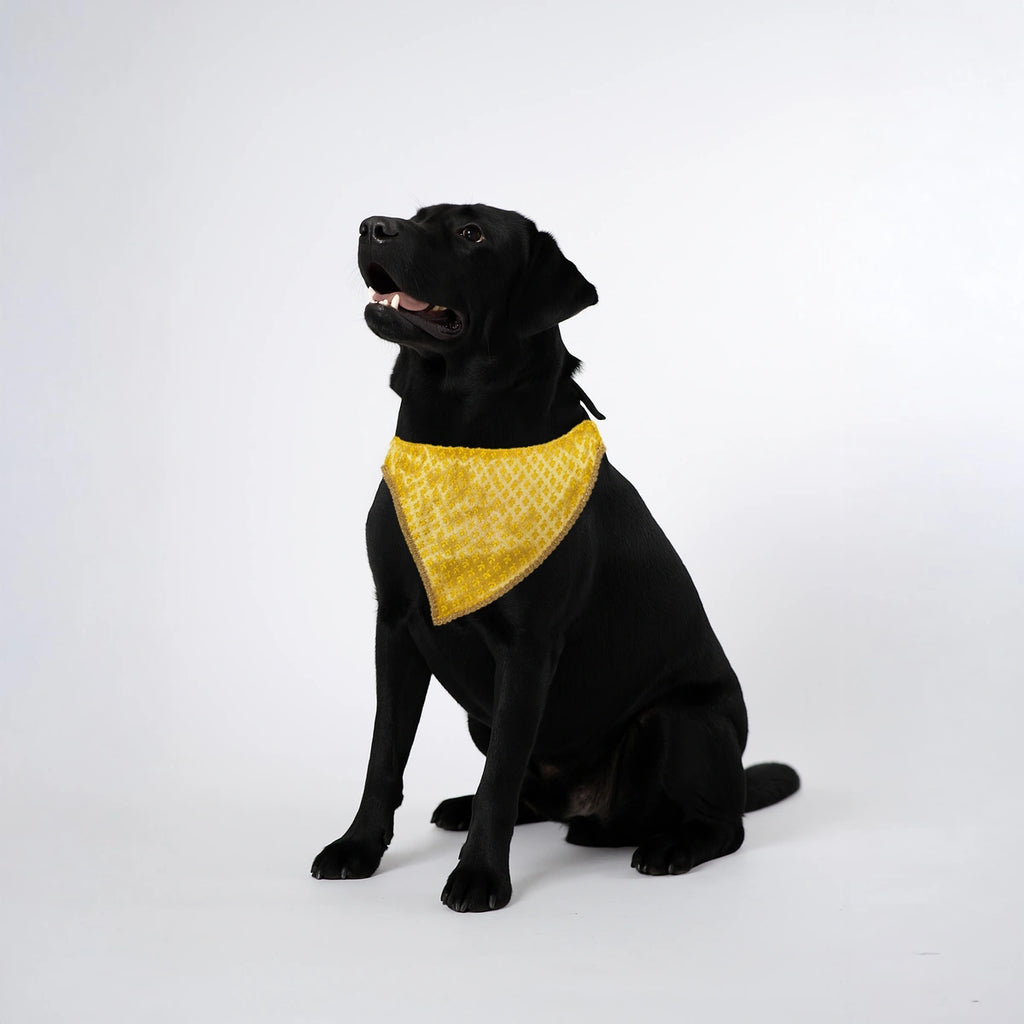 Thunder Tails Festive Dogs & Cats Bandana - Yellow