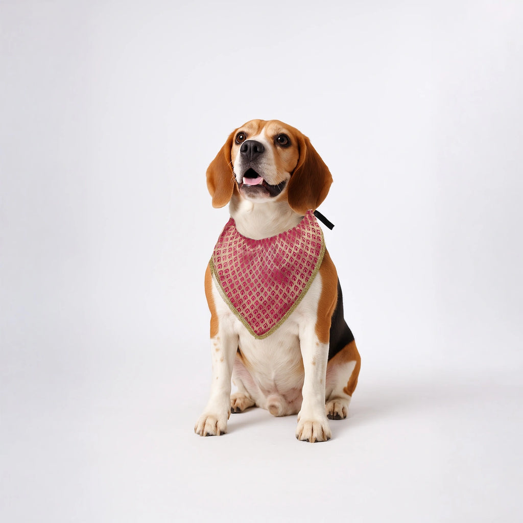 Thunder Tails Festive Dogs & Cats Bandana - Magenta