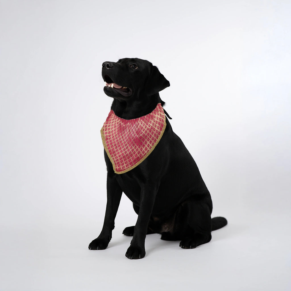 Thunder Tails Festive Dogs & Cats Bandana - Magenta