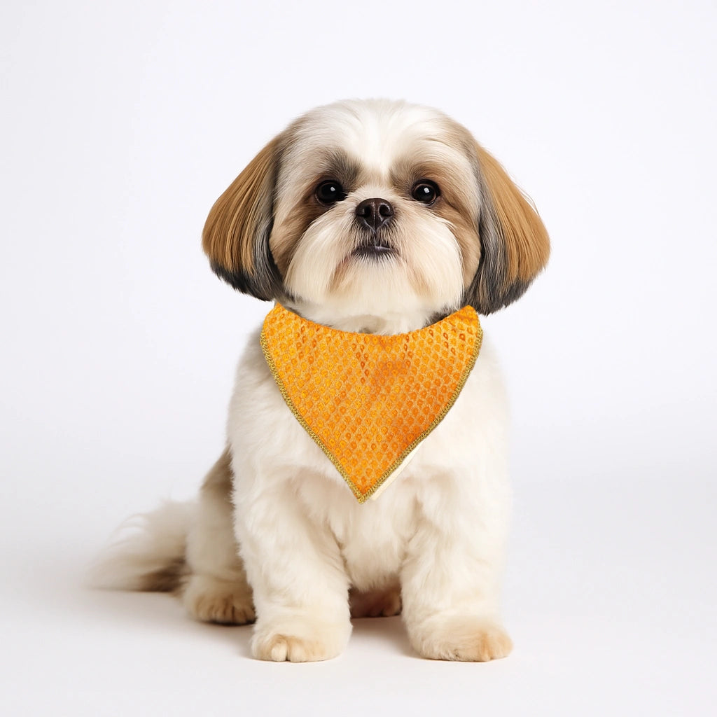 Thunder Tails Festive Dogs & Cats Bandana - Orange