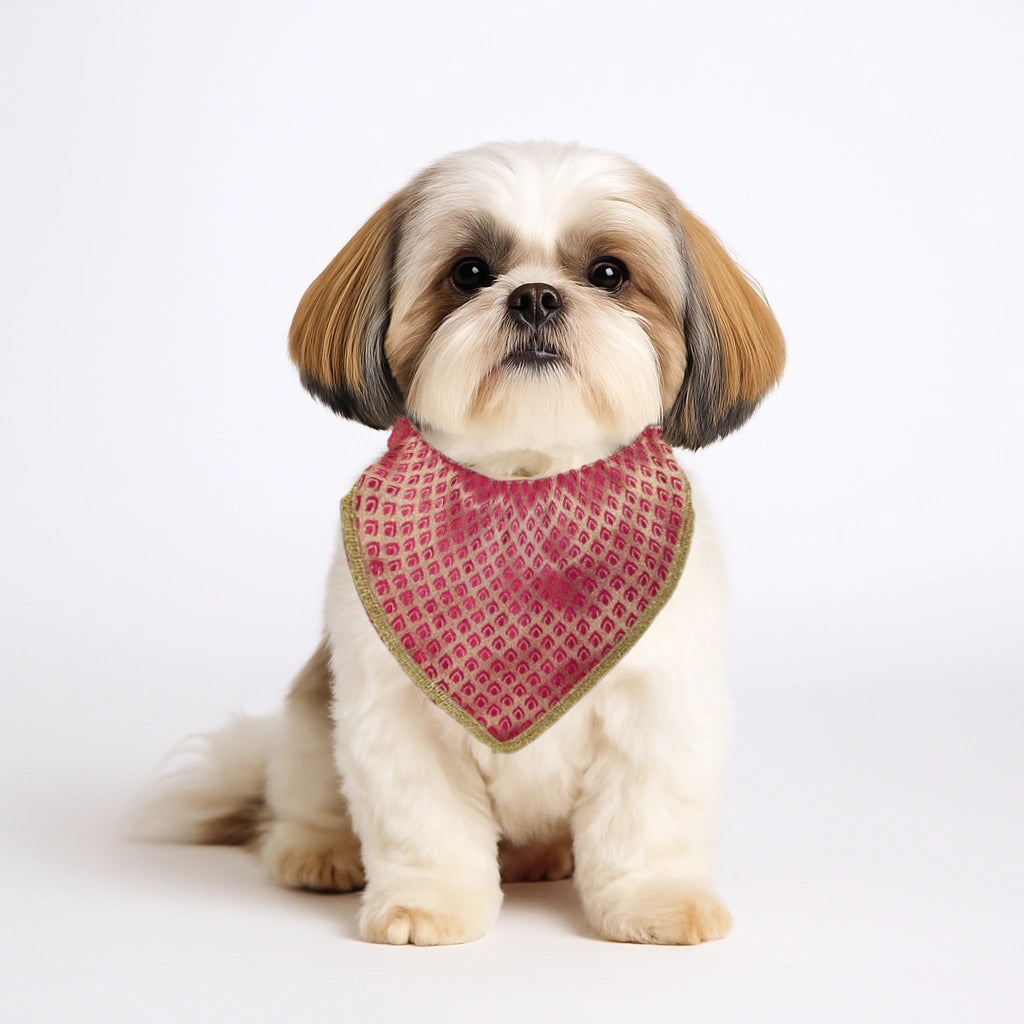 Thunder Tails Festive Dogs & Cats Bandana - Magenta