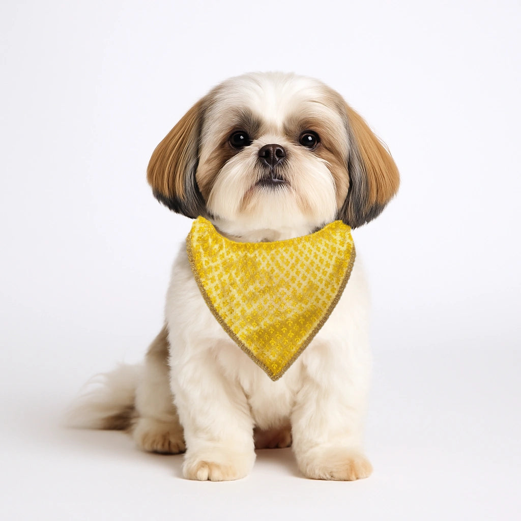 Thunder Tails Festive Dogs & Cats Bandana - Yellow