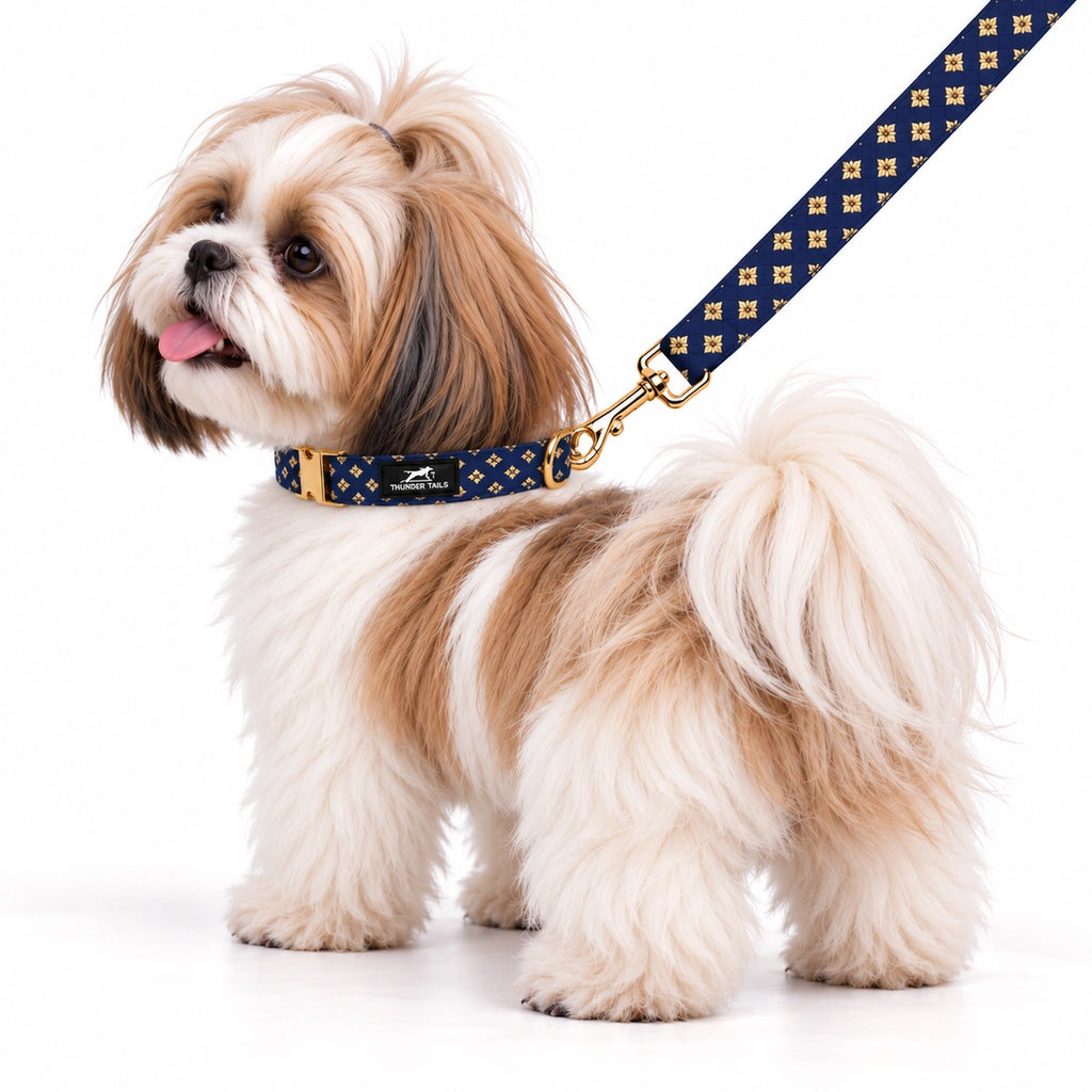 Thunder Tails Rangrez Collar + Leash Set - Navy
