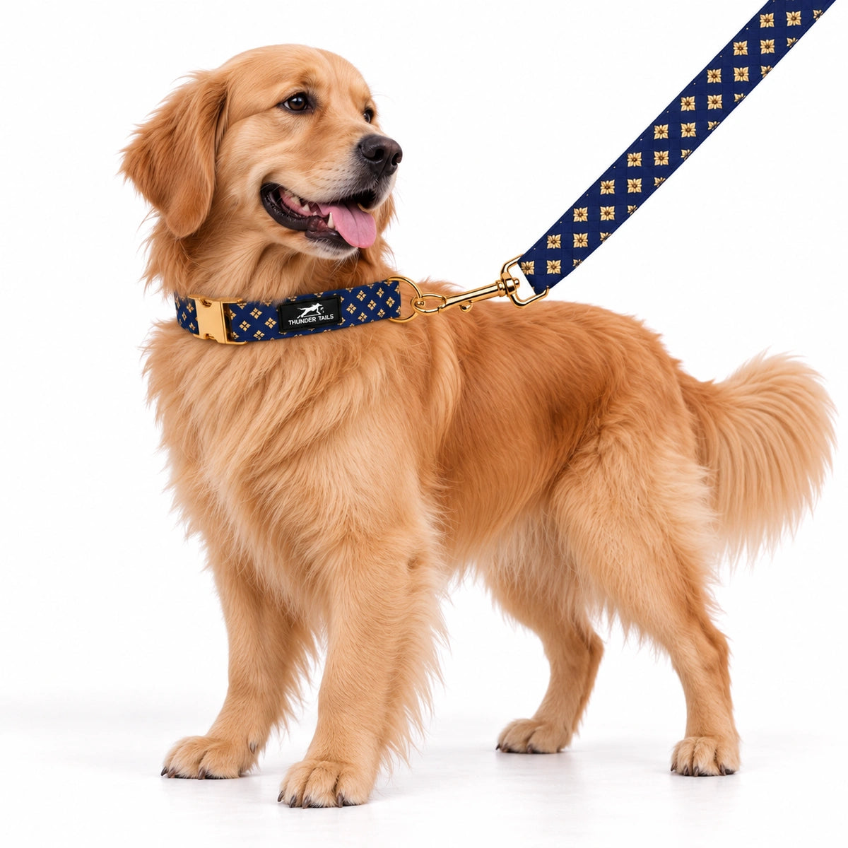 Thunder Tails Rangrez Collar + Leash Set - Navy