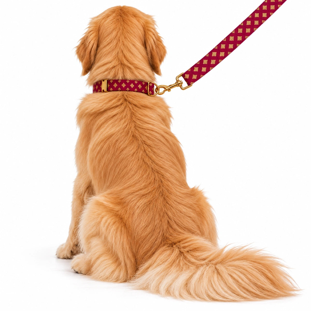 Thunder Tails Rangrez Collar + Leash Set - Maroon