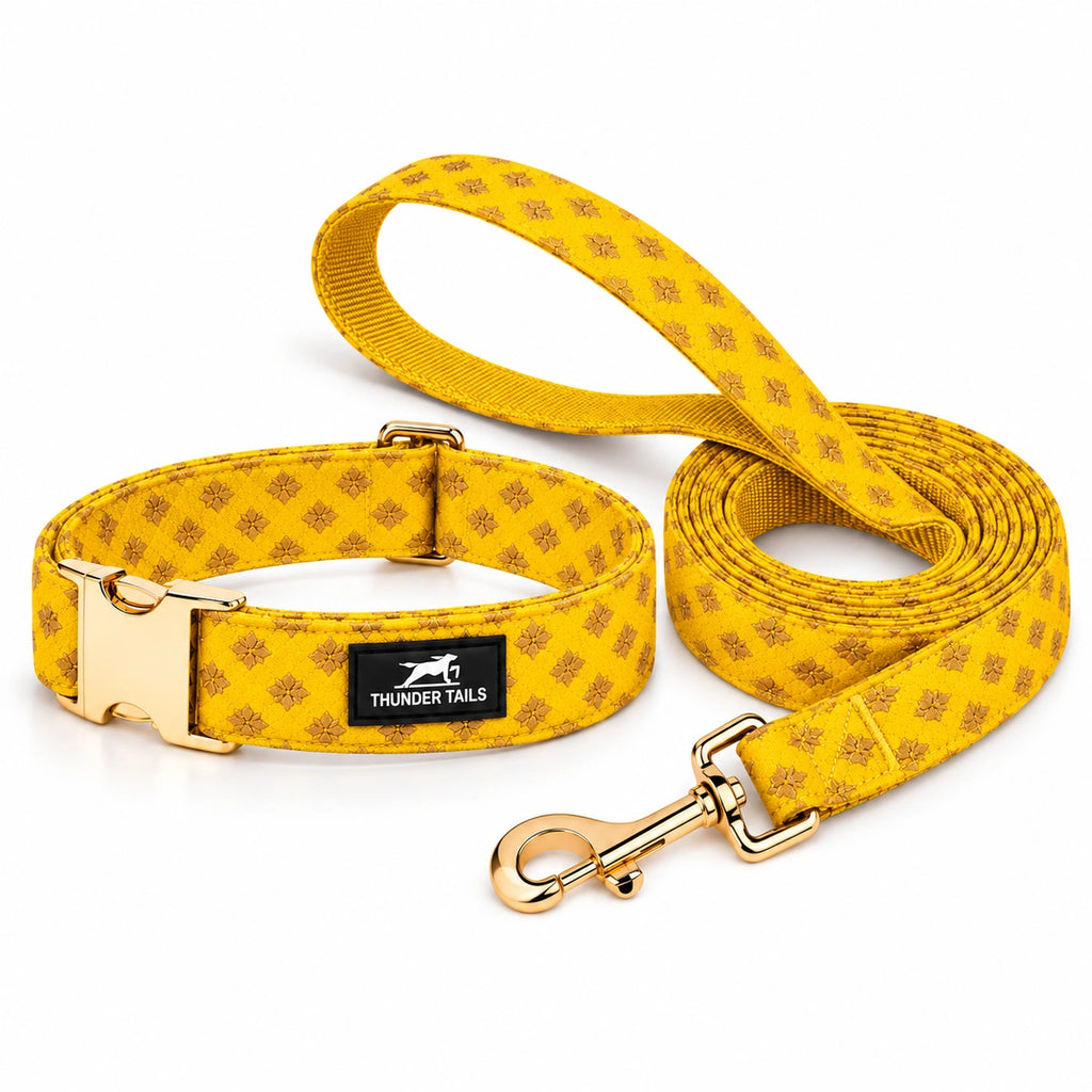 Thunder Tails Rangrez Collar + Leash Set - Yellow