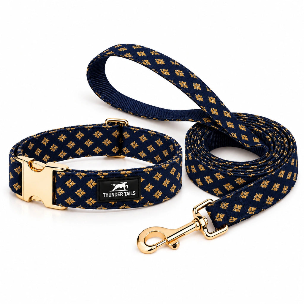 Thunder Tails Rangrez Collar + Leash Set - Navy
