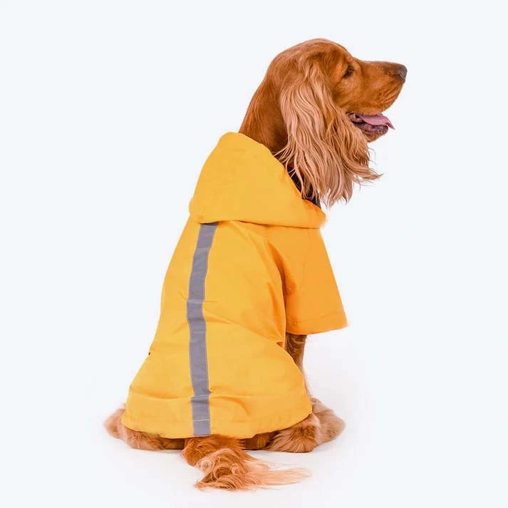 Thunder Tails Drizzle Sizzle Raincoat- Yellow