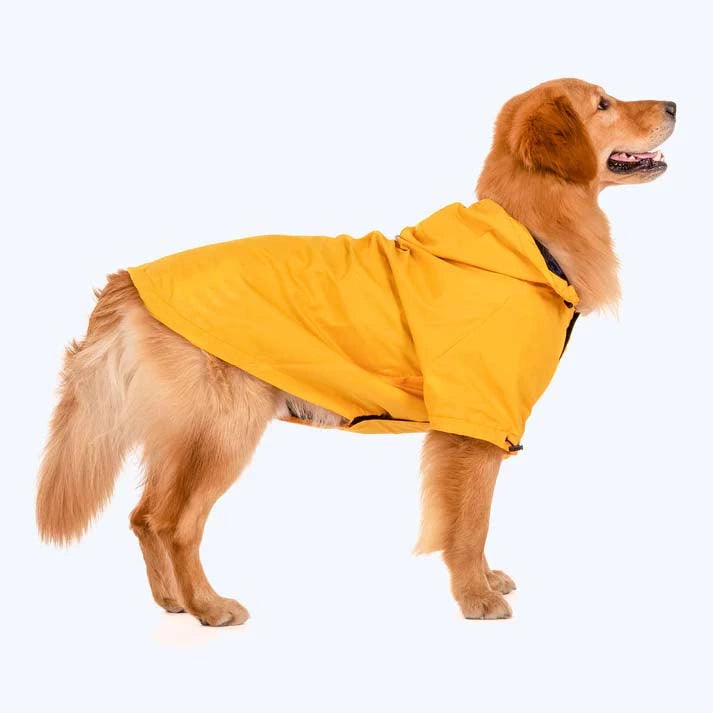 Thunder Tails Drizzle Sizzle Raincoat- Yellow