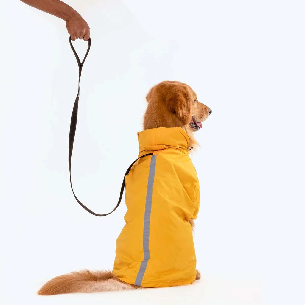 Thunder Tails Drizzle Sizzle Raincoat- Yellow