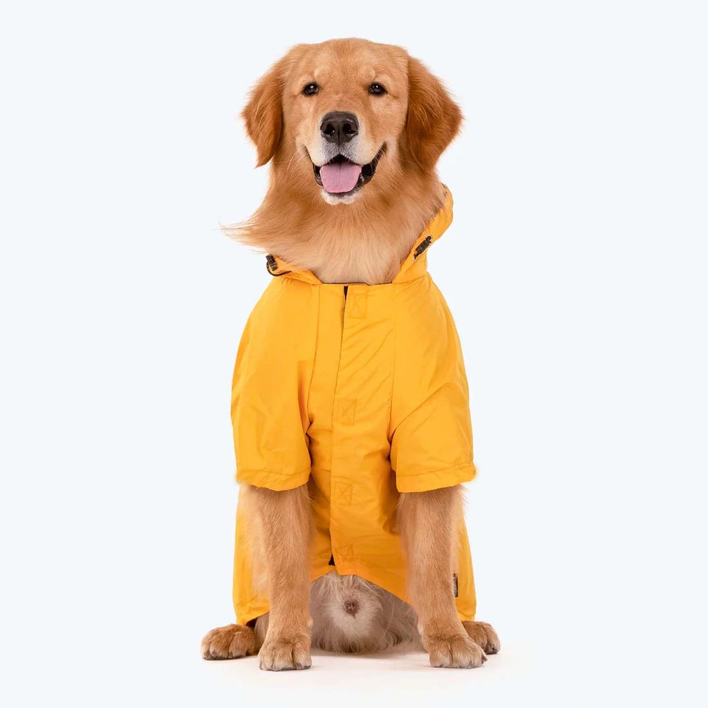 Thunder Tails Drizzle Sizzle Raincoat- Yellow