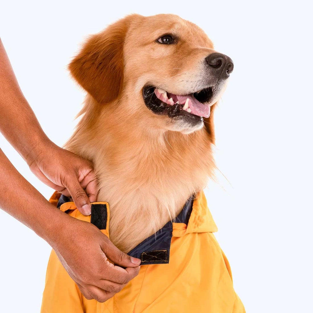 Thunder Tails Drizzle Sizzle Raincoat- Yellow