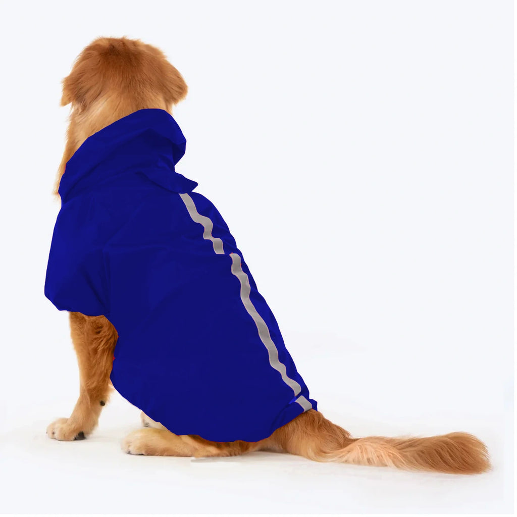 Thunder Tails Drizzle Sizzle Raincoat- Blue