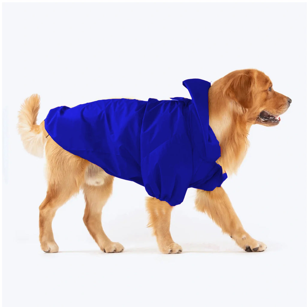 Thunder Tails Drizzle Sizzle Raincoat- Blue