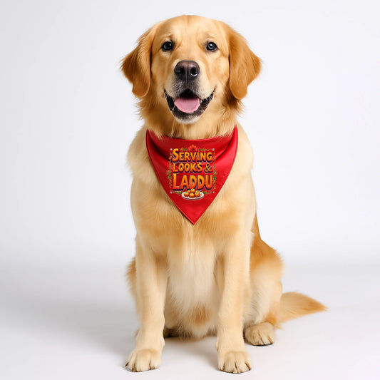 Thunder Tails Paw-rade with Bappa Dogs & Cats Bandana - Serving Looks & Laddus