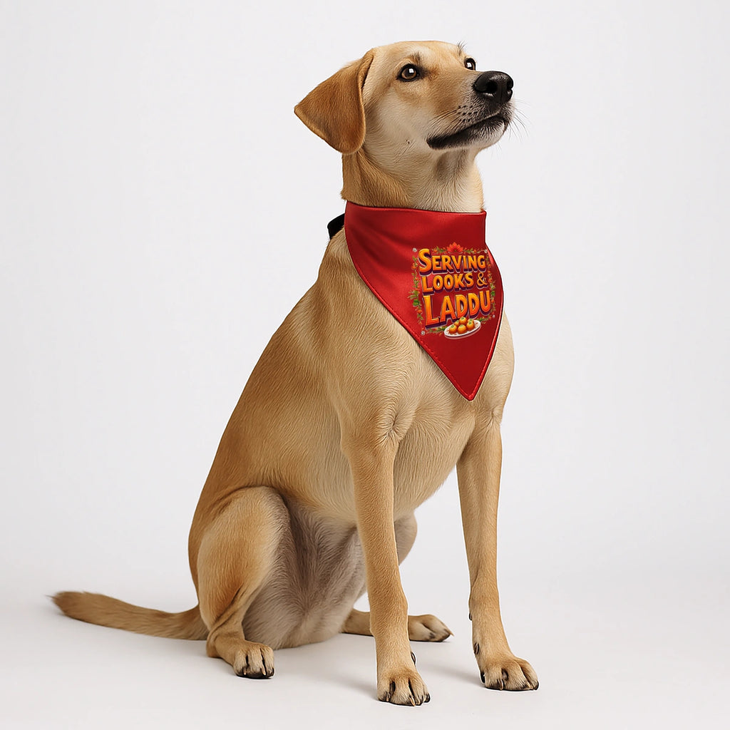 Thunder Tails Paw-rade with Bappa Dogs & Cats Bandana - Serving Looks & Laddus