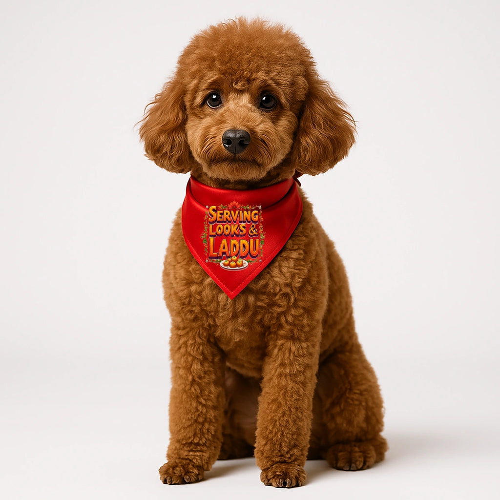 Thunder Tails Paw-rade with Bappa Dogs & Cats Bandana - Serving Looks & Laddus