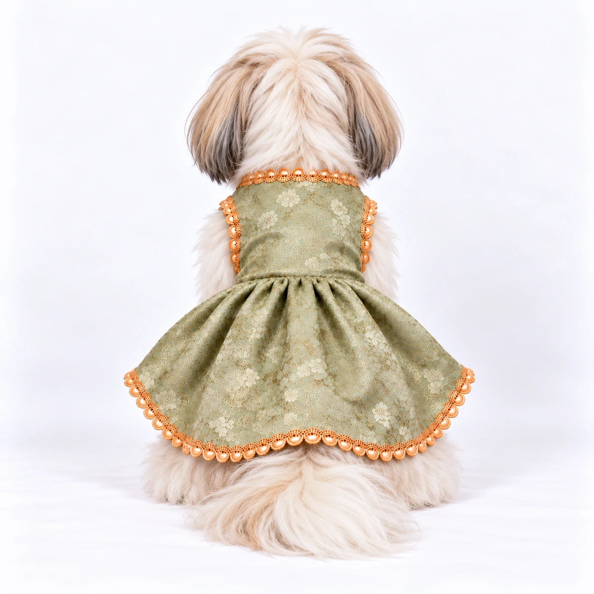 Thunder Tails Rangrez Dog Frock - Sage Green