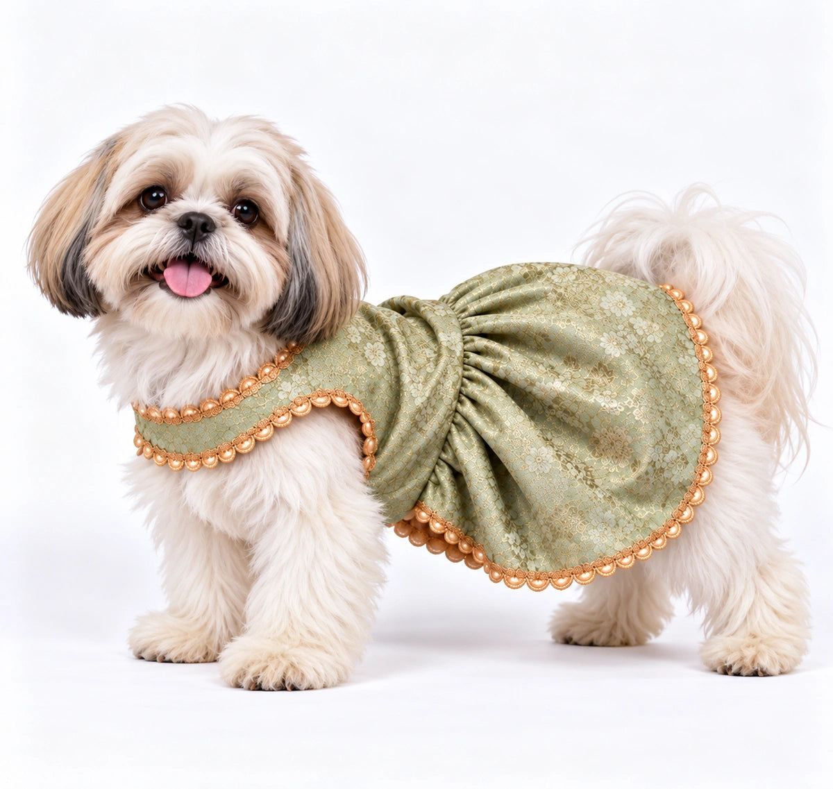 Thunder Tails Rangrez Dog Frock - Sage Green