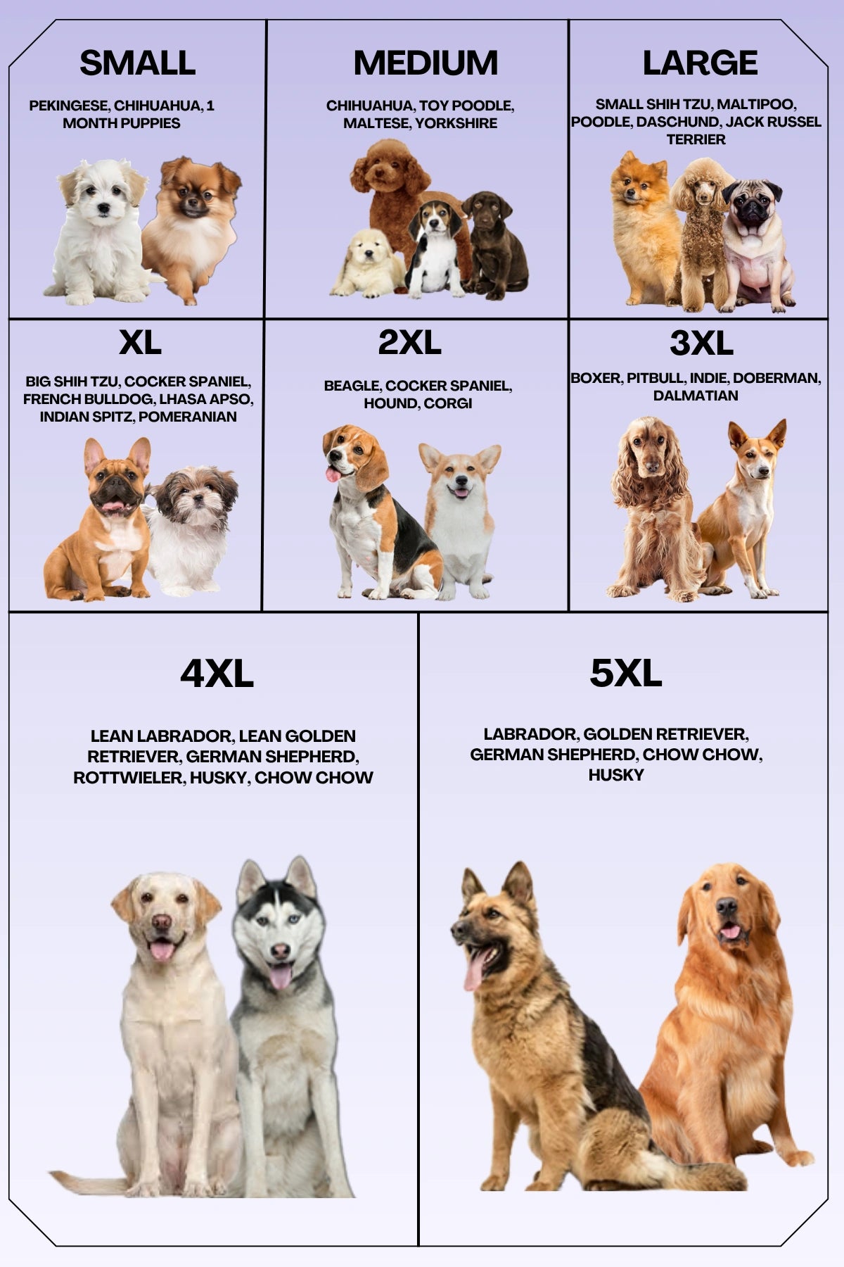 Thunder Tails Born to Bark, Forced to Listen Adjustable Graphic T-shirt