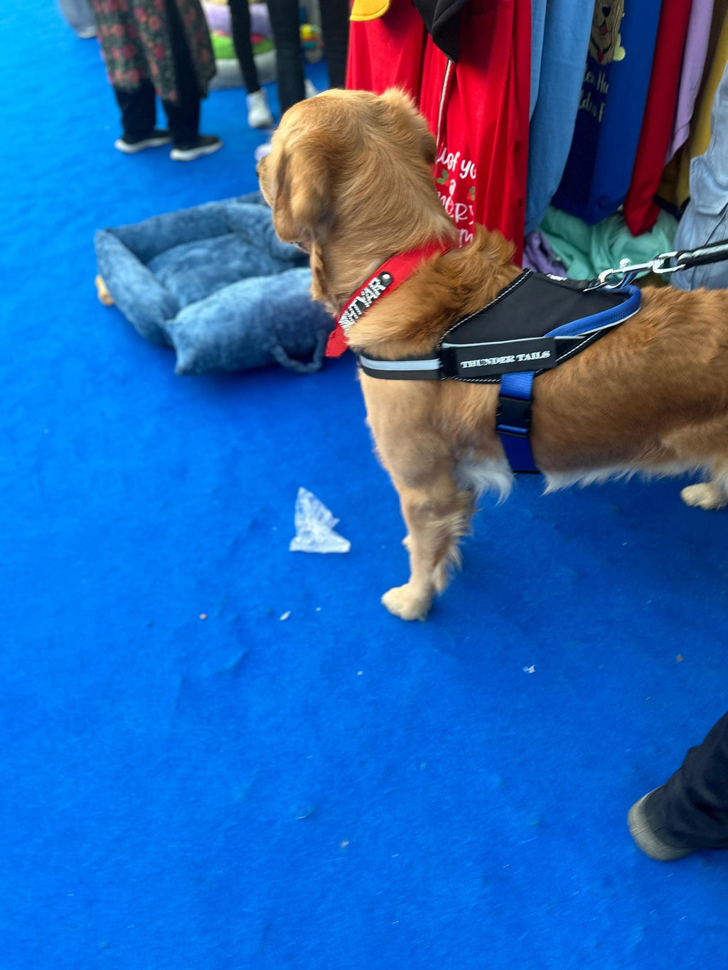 Black-Royal-dog harness