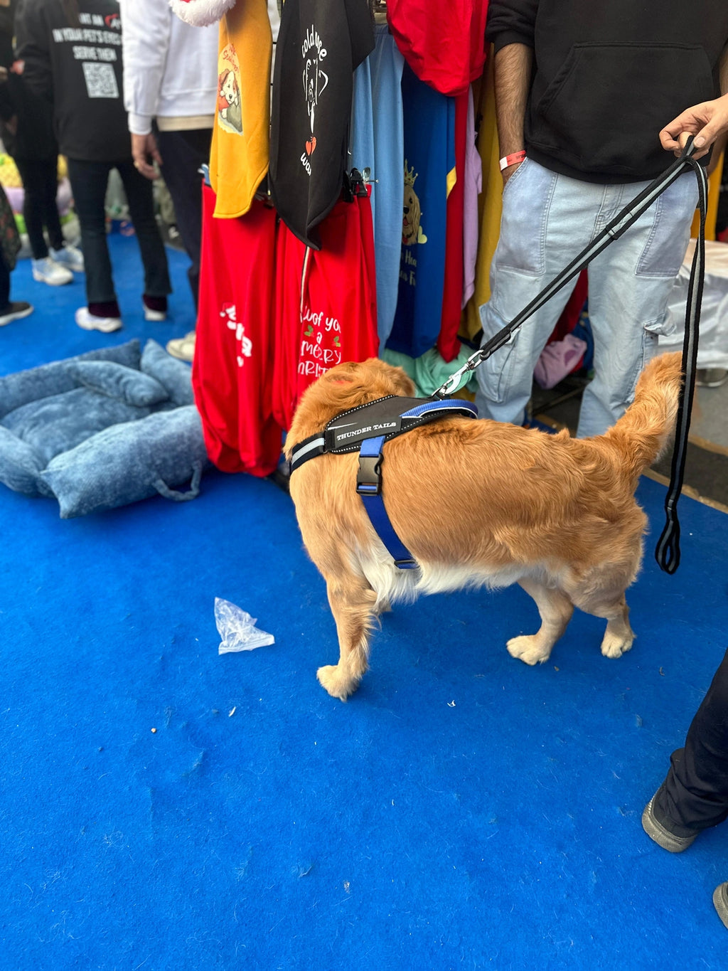 Black-Royal-dog harness