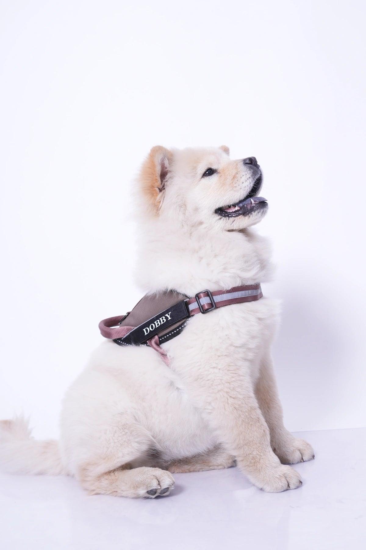 Brown-Brown_dog harness