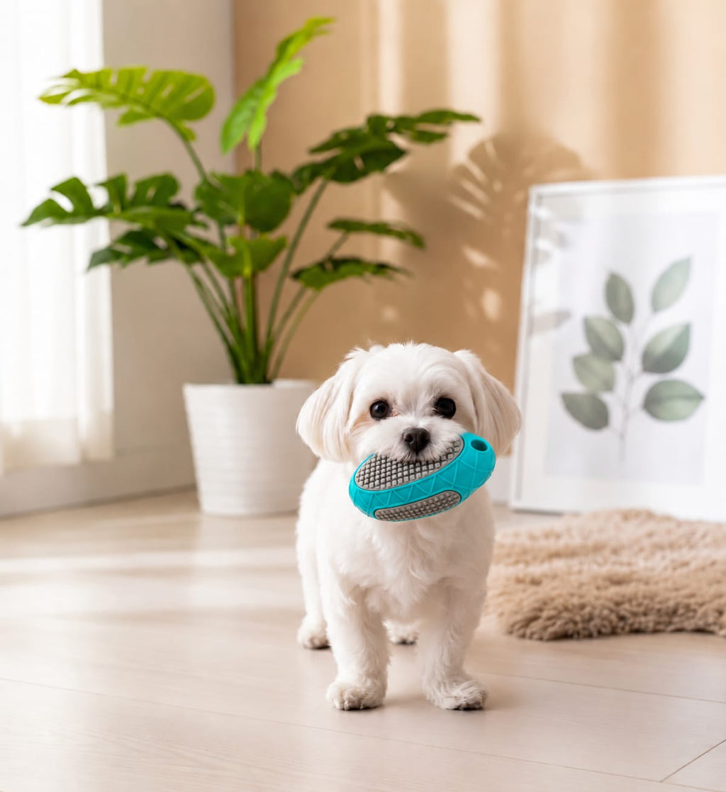 Thunder Tails  Oval Diamond Grid Dog Chew Toy — TPR Squeaky Teeth Cleaning Toy
