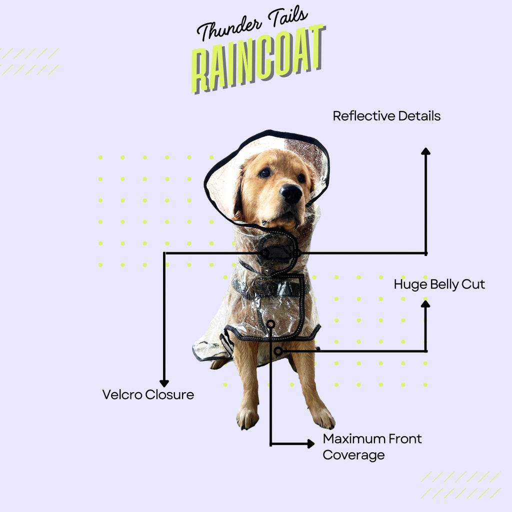 Thunder Tails Transparent Raincoat