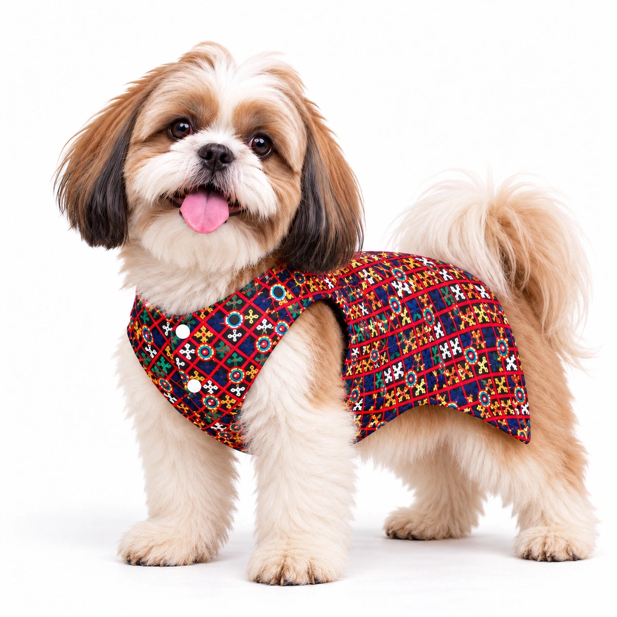 Thunder Tails Dandiya Days Black Mirror Work Dog Sherwani