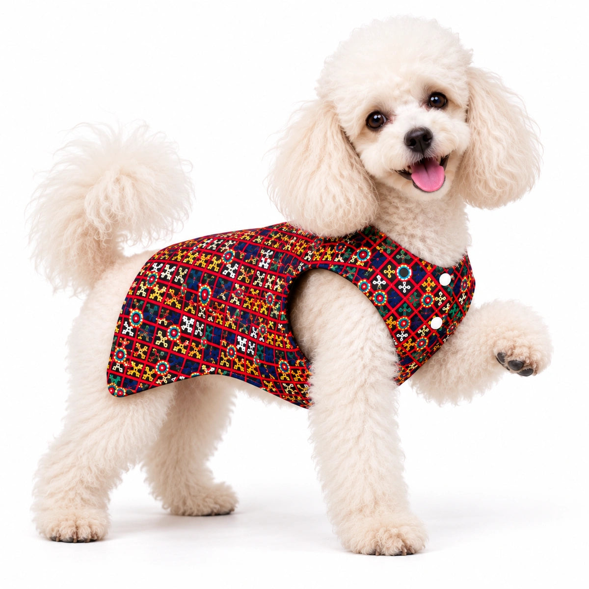 Thunder Tails Dandiya Days Black Mirror Work Dog Sherwani