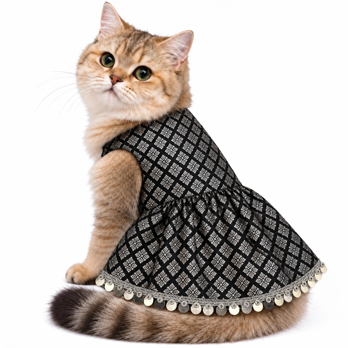 Thunder Tails Festive Brocade Cat Frock - Black