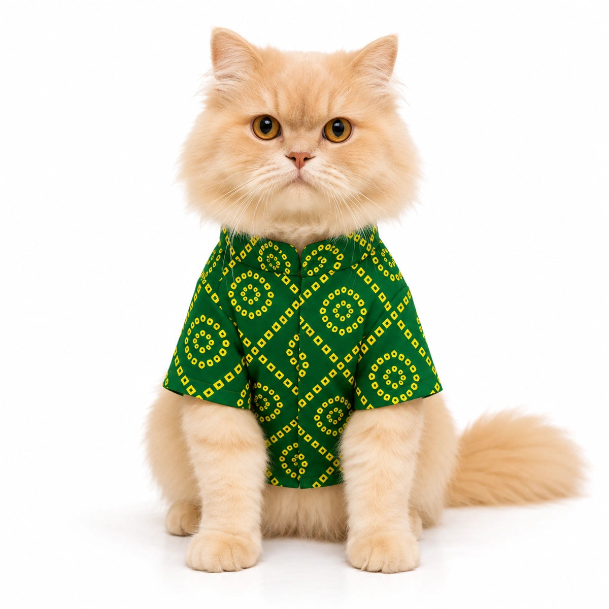 Thunder Tails Green Bandhani Cat Festive Kurta