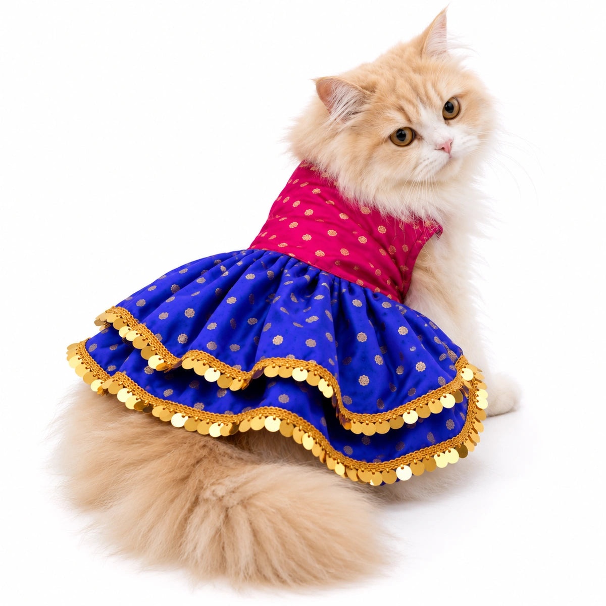 Thunder Tails Rangrez Cat Frock - Pink Purple