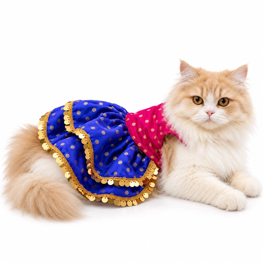 Thunder Tails Rangrez Cat Frock - Pink Purple