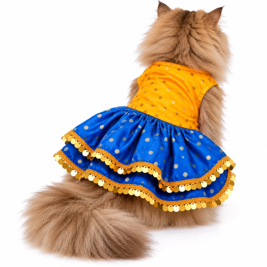 Thunder Tails Rangrez Cat Frock - Yellow Blue