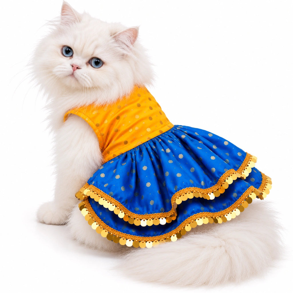 Thunder Tails Rangrez Cat Frock - Yellow Blue