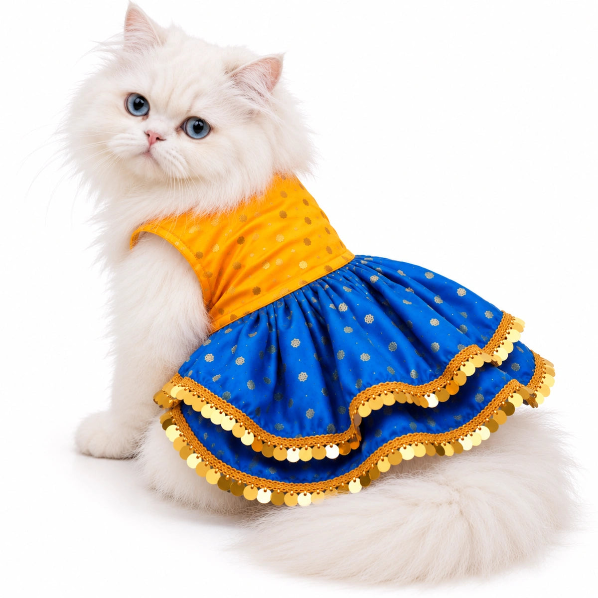 Thunder Tails Rangrez Cat Frock - Yellow Blue