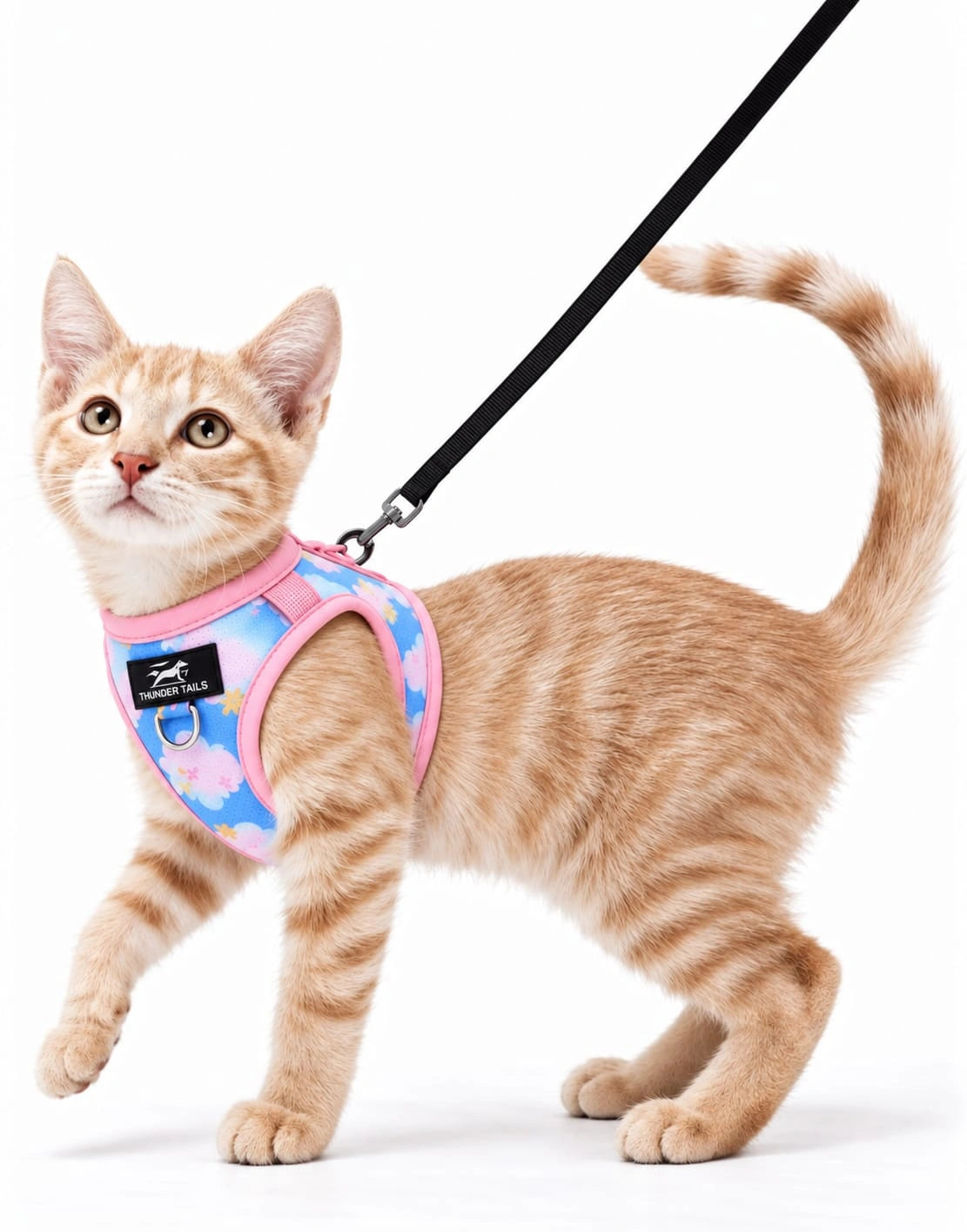 Thunder Tails Cat Harness & Leash Set - Blue Pink