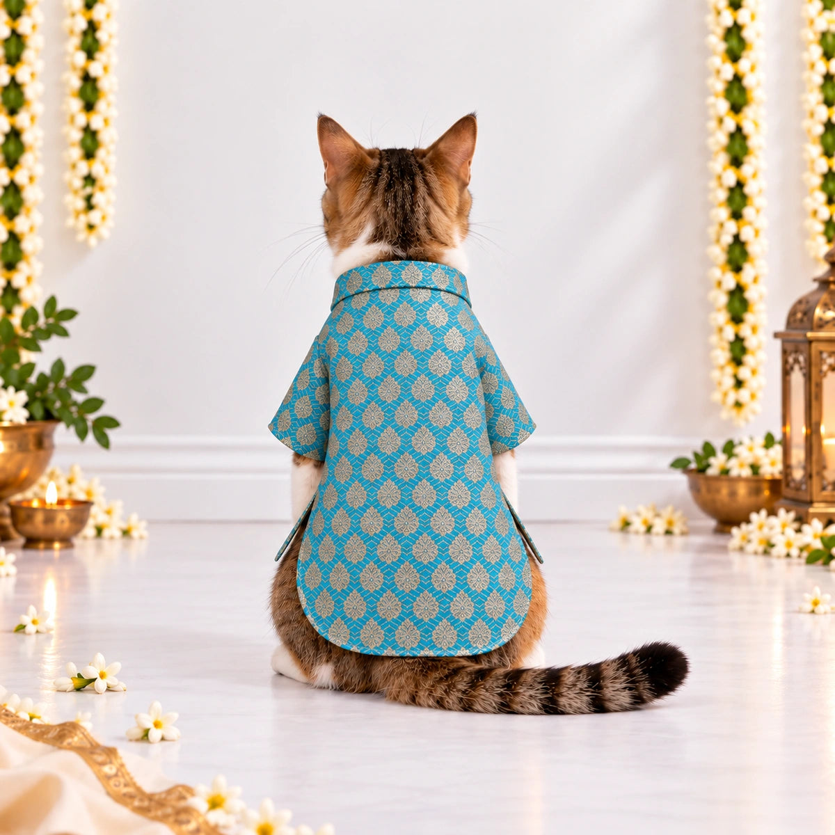 Thunder Tails Rangrez Cat Kurta - Blue