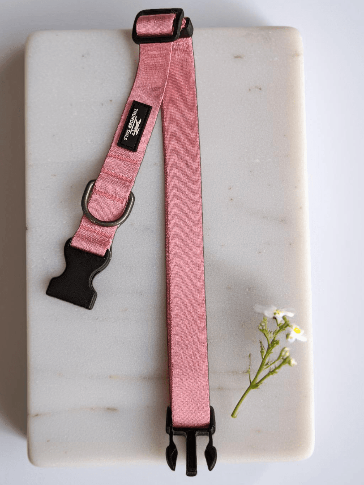 Thunder Tails Color Burst Nylon Collars- Light Pink - Thunder Tails