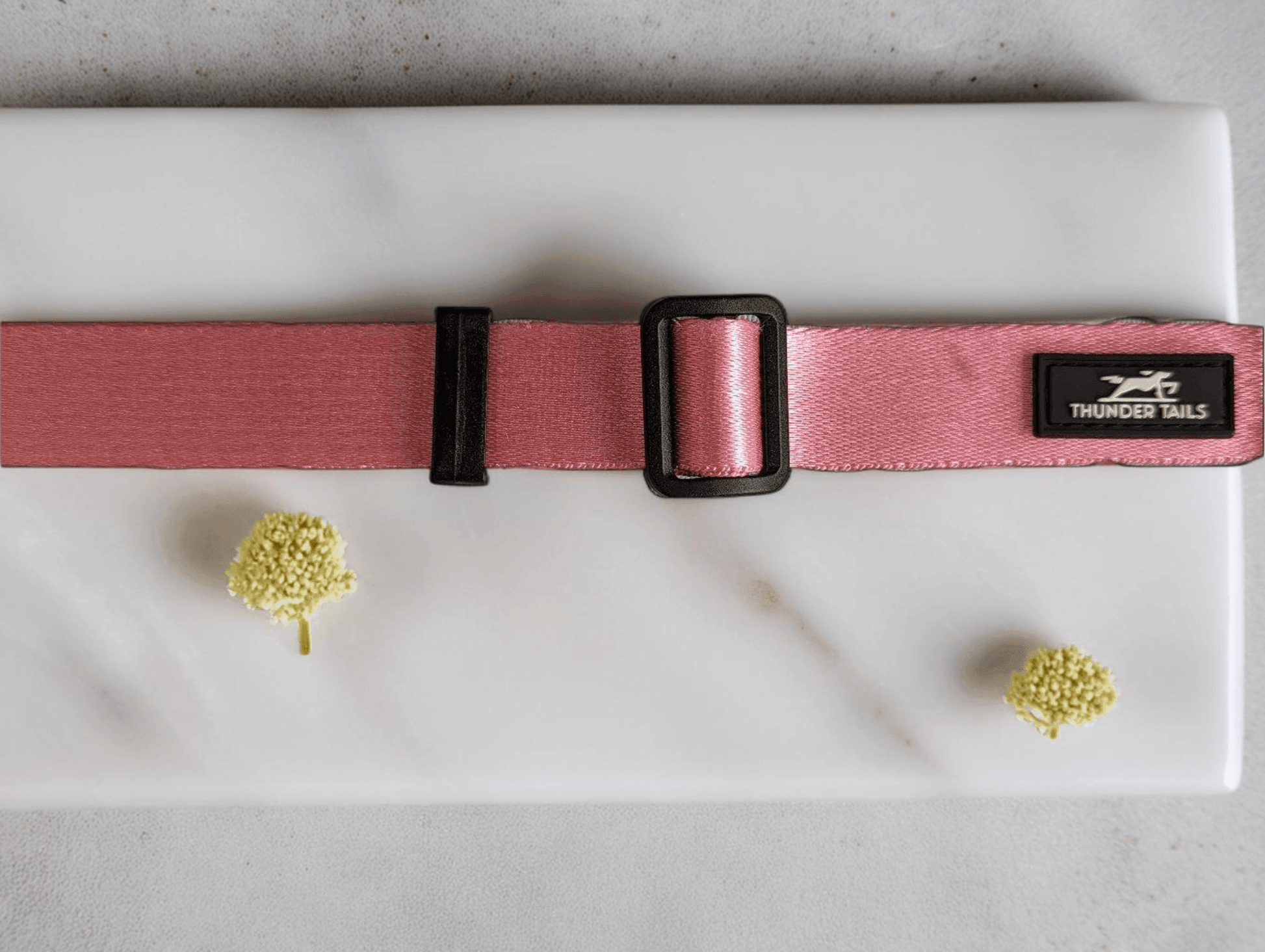 Thunder Tails Color Burst Nylon Collars- Light Pink - Thunder Tails