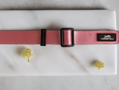 Thunder Tails Color Burst Nylon Collars- Light Pink - Thunder Tails