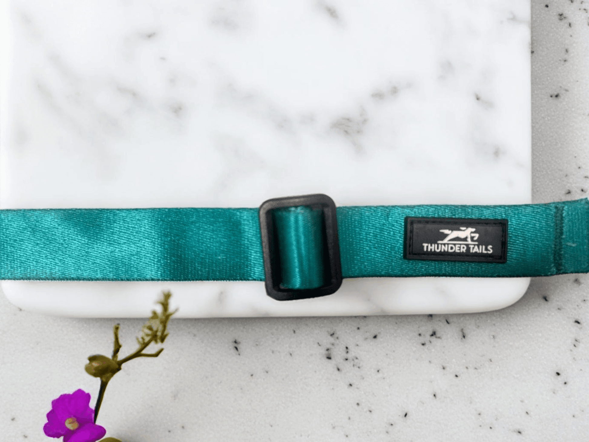 Thunder Tails Color Burst Nylon Collars- Petrol - Thunder Tails