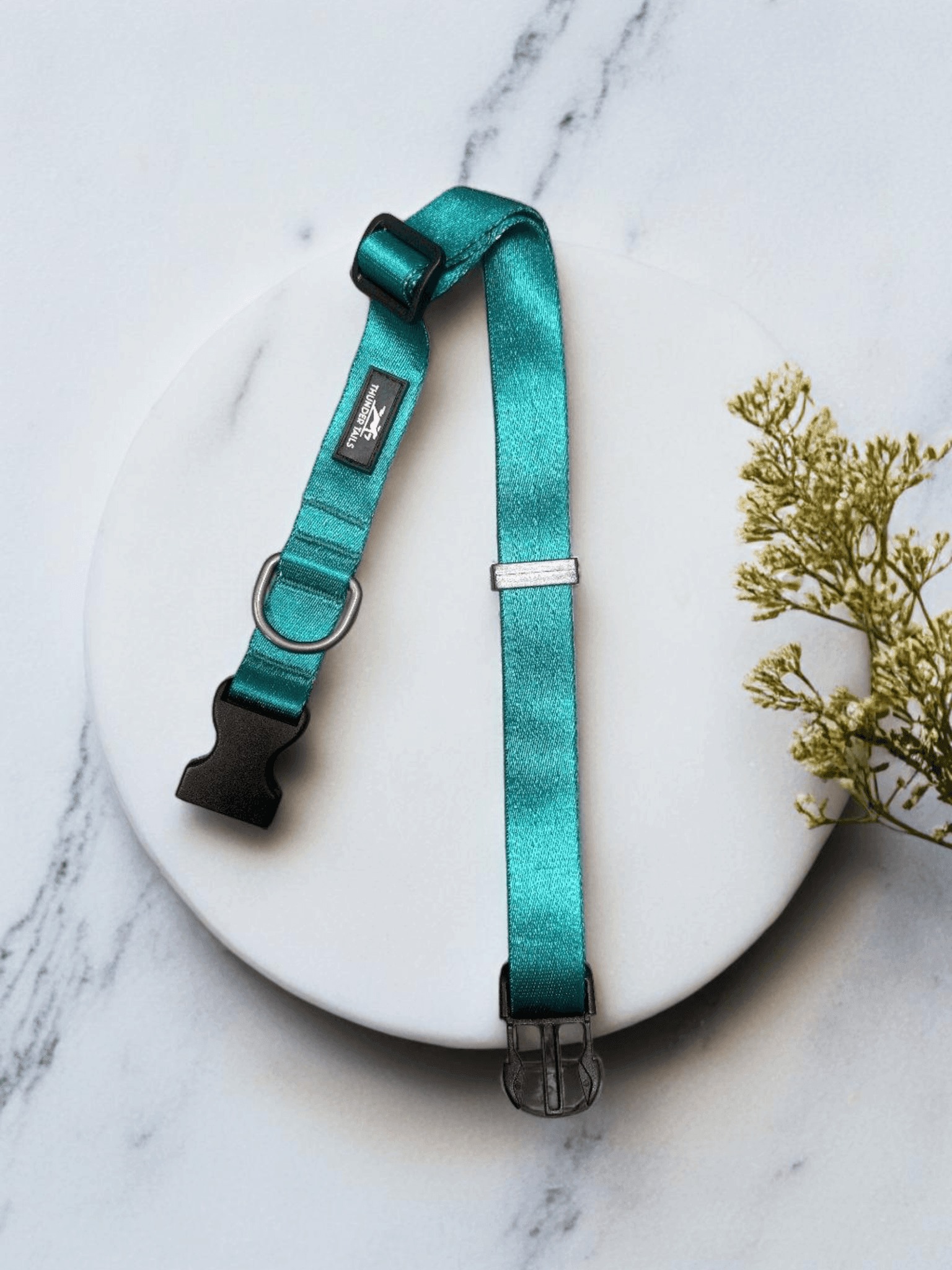 Thunder Tails Color Burst Nylon Collars- Petrol - Thunder Tails