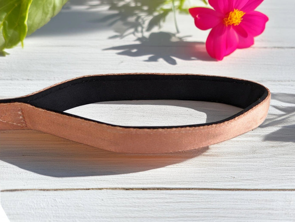 Thunder Tails Color Burst Nylon Leash