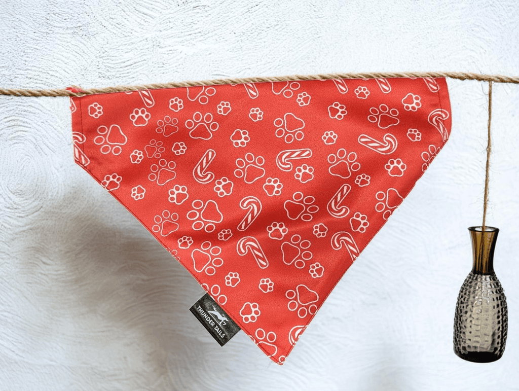 Thunder Tails SANTA PAWS Reversible Bandana - Thunder Tails