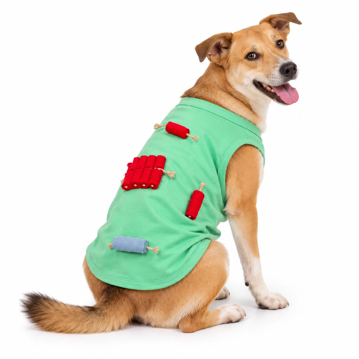 Thunder Tails Dog T-shirt - Firecracker Diwali